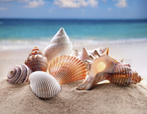 Composition with beach water, sand, starfish and seashells. Summer vacations concept, AI generated