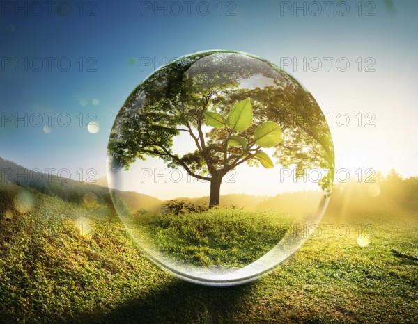 Ecology and Environment concept. Environment Earth Day In the hands of trees growing seedlings, reduce global warming, AI generated