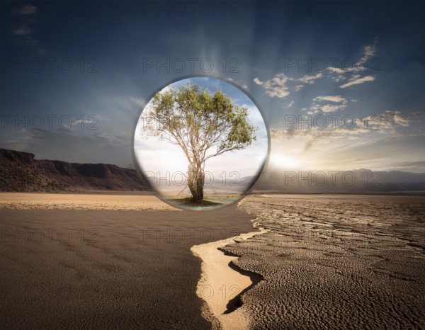 Life Concept. Existence survival being consciousness. Growth of new life, AI generated