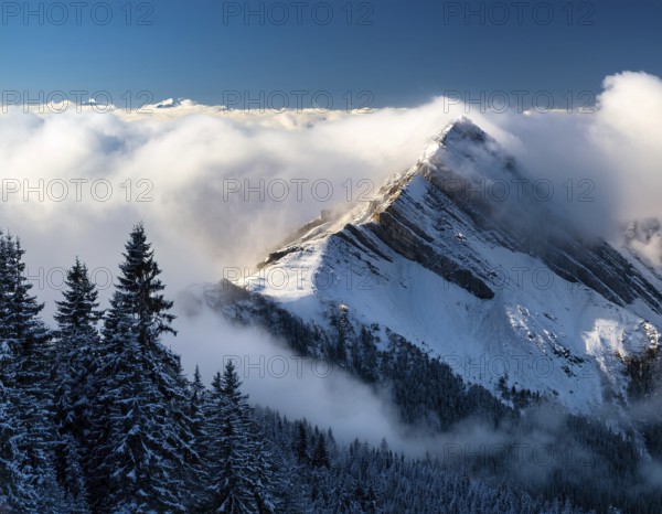 A stunning view of a snowy mountain peak rising above the clouds, with a blue sky background. Capturing a tranquil moment in nature's beauty, evoking feelings of serenity and wonder, AI generated