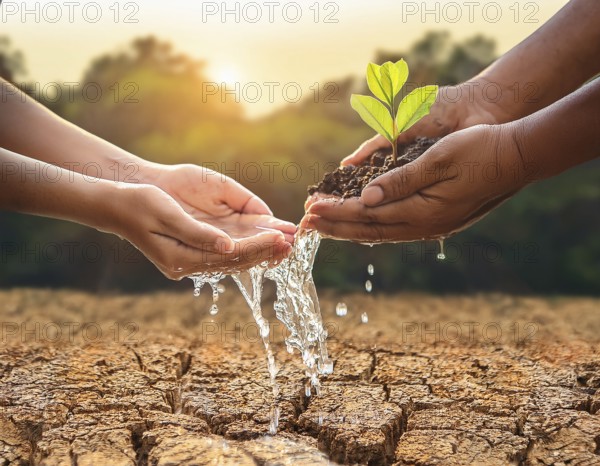 A close-up of hands nurturing a young plant by pouring water, symbolizing hope, growth, and environmental conservation in arid conditions, AI generated
