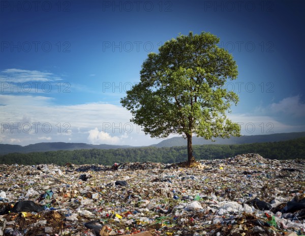 A solitary green tree amidst a landscape filled with trash and waste, symbolizing environmental degradation and the need for conservation efforts. Captures contrast between nature's beauty and human-made pollution, AI generated
