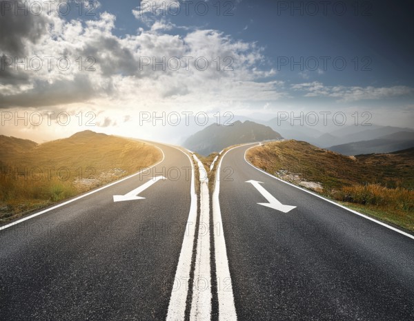 Directional Signpost at Forked Path Illustrating Decision and Choices in Nature, AI generated