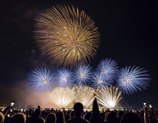 Thrilling fireworks illuminate the dark sky as a crowd gathers to enjoy the dazzling display, creating an atmosphere of festivity and wonder, AI generated