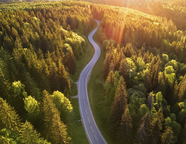 A scenic aerial view of a serpentine road surrounded by lush green forest, illuminated by soft golden hour sunlight, conveying serenity and natural beauty in a springtime setting, AI generated