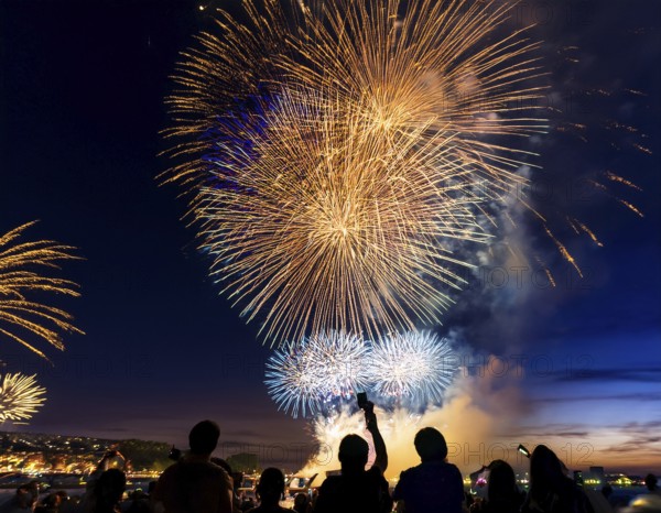 Thrilling fireworks illuminate the dark sky as a crowd gathers to enjoy the dazzling display, creating an atmosphere of festivity and wonder, AI generated