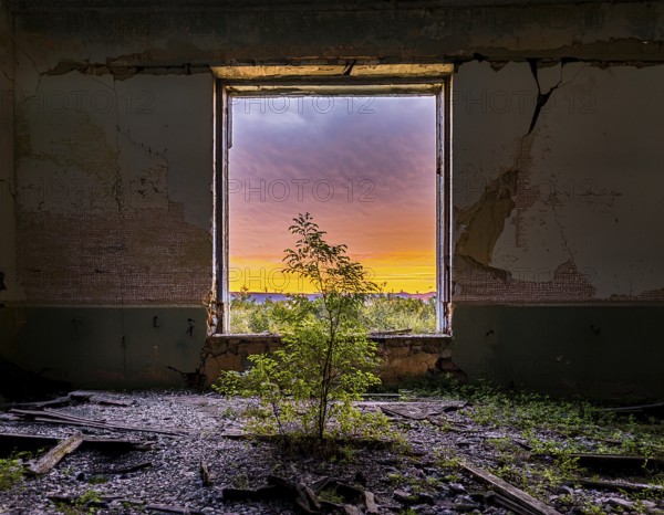An abandoned building reveals a stunning view of a colorful sunset through a decayed window, surrounded by greenery reclaiming the space, symbolizing hope, resilience and the beauty of nature, AI generated
