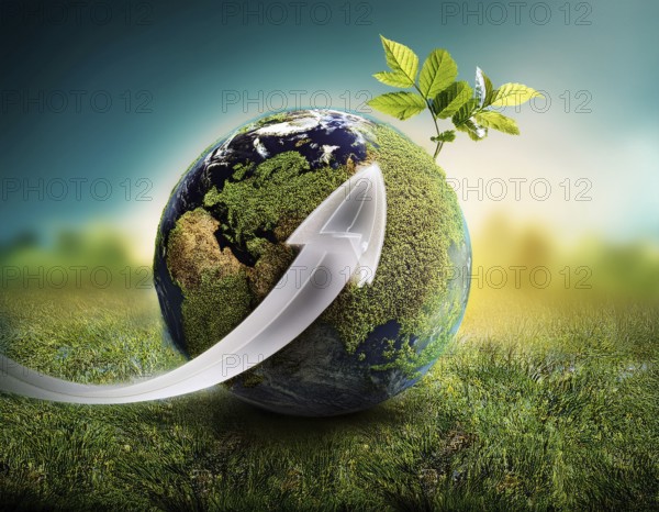 Ecology and Environment concept. Environment Earth Day In the hands of trees growing seedlings, reduce global warming, AI generated