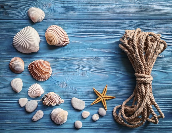 Frame of rope, seashells and starfishes is lying on a wooden textured blue background, AI generated