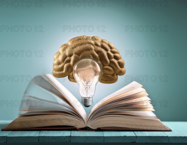 Light bulb with industry network, mind, analysis solution . Creative concept with a light bulb, AI generated