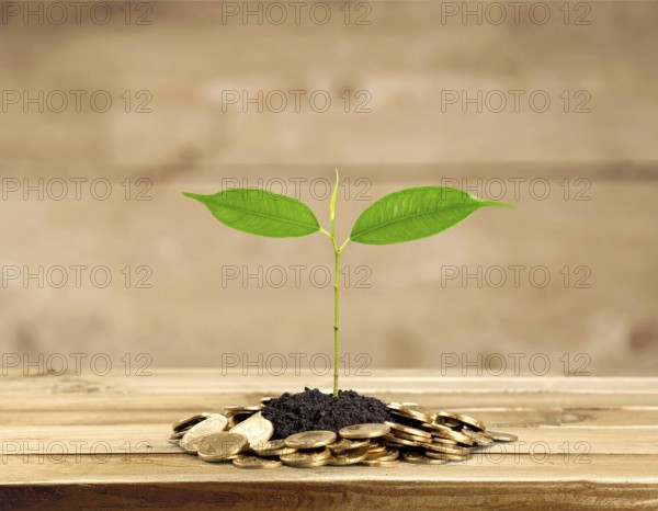 Coins with seedling eco saving concept image symbolizing financial growth, sustainable development, green economy, and prosperity, AI generated