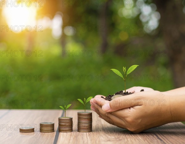 Coins with seedling eco saving concept image symbolizing financial growth, sustainable development, green economy, and prosperity, AI generated