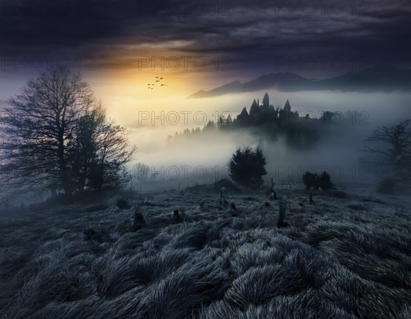 Mysterious dark misty forest dark magical forest night scary panorama halloween landscape, AI generated