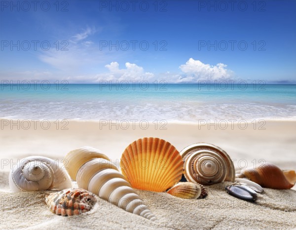 Composition with beach water, sand, starfish and seashells. Summer vacations concept, AI generated