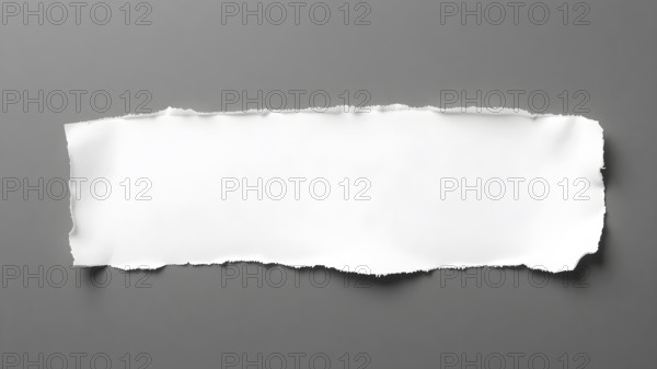 A beautifully textured torn piece of paper on a clean background, highlighting simplicity and isolation while providing design elements for creativity and innovative artistic concepts, AI generated
