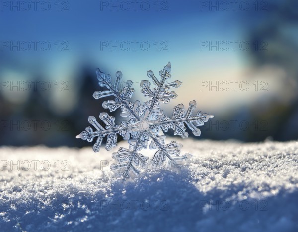 Macro photo of real snow crystal on glass surface. This is small snowflake with unusual pattern, AI generated