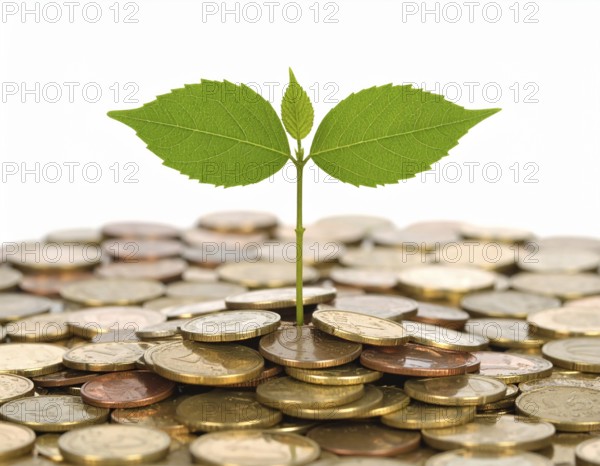 Coins with seedling eco saving concept image symbolizing financial growth, sustainable development, green economy, and prosperity, AI generated