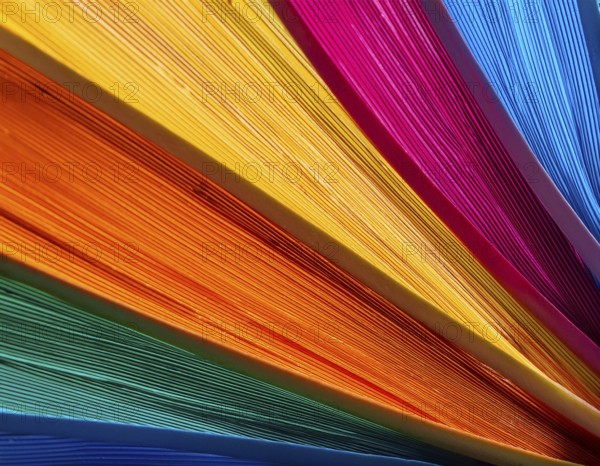 Multi color background bursting with vivid tones, artistic expression, and modern abstract design for versatile décor, AI generated