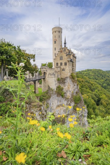 Fairytale castle on a steep rock surrounded by green nature and yellow flowers in the foreground, Lichtenstein Castle, Lichtenstein, Swabian Alb, Germany