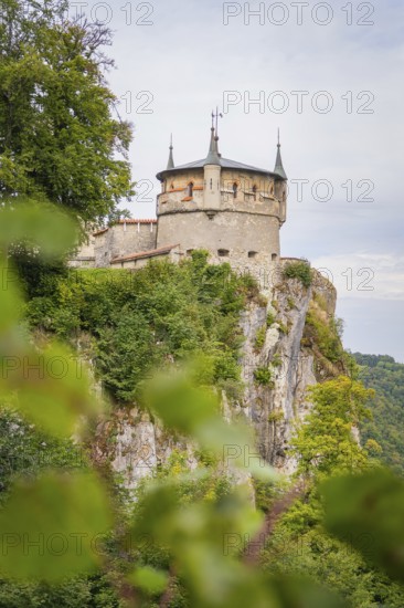 Castle on a rock with towers surrounded by lush vegetation, Lichtenstein Castle, Lichtenstein, Swabian Alb, Germany