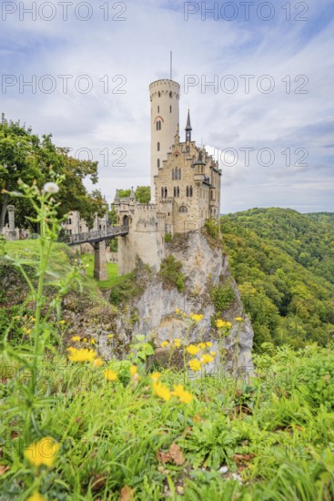 Romantic castle on a steep cliff with yellow flowers in the foreground and surrounded by green nature, Lichtenstein Castle, Lichtenstein, Swabian Alb, Germany