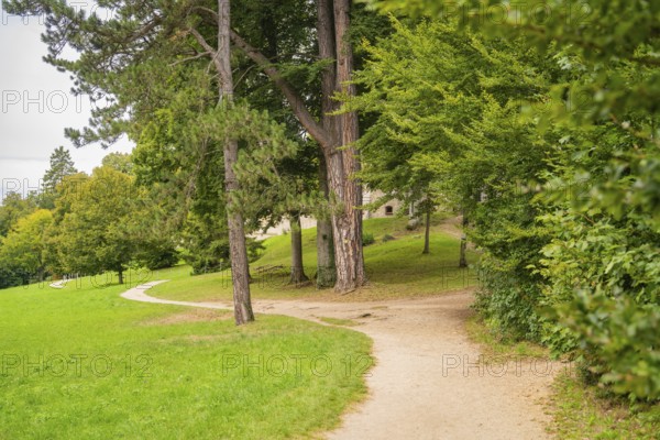 Winding path through a green park landscape with tall trees, Lichtenstein Castle, Lichtenstein, Swabian Alb, Germany