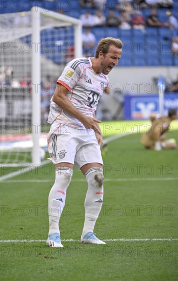 Goal celebration Harry Kane FC Bayern Munich FCB (09) Gesture Gesture Cheering Soccer Bundesliga, PreZero Arena, Sinsheim, Baden-Württemberg, Germany