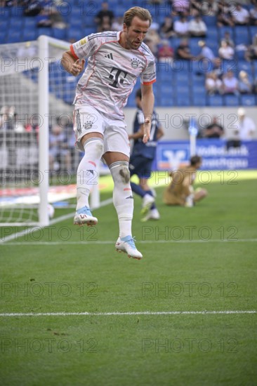 Goal celebration Harry Kane FC Bayern Munich FCB (09) Gesture Gesture Cheering Soccer Bundesliga, PreZero Arena, Sinsheim, Baden-Württemberg, Germany
