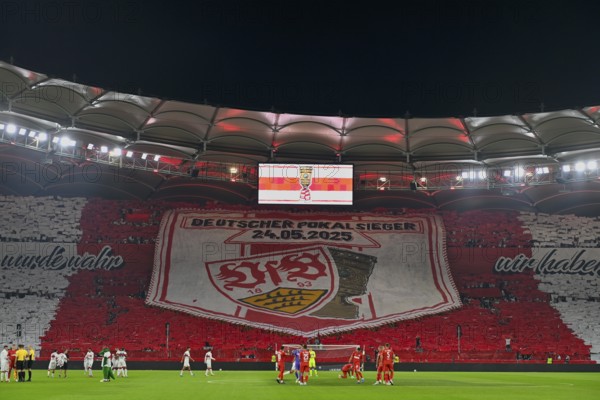 Choreo, choreography, fan campaign German Cup Winner VfB Stuttgart, Football Bundesliga, MHPArena, MHP Arena Stuttgart, Baden-Württemberg, Germany