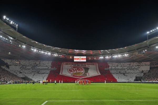 Choreo, choreography, fan campaign German Cup Winner VfB Stuttgart, Football Bundesliga, MHPArena, MHP Arena Stuttgart, Baden-Württemberg, Germany