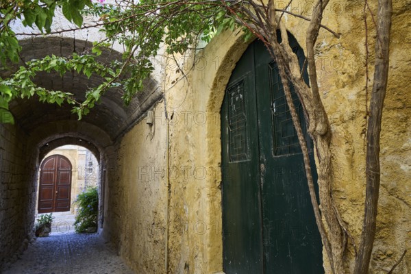 Narrow alley with stone walls and a greenish wooden door, enlivened by plants in a historic setting, Rhodes Old Town, Rhodes Town, Rhodes, Dodecanese, Greek Islands, Greece