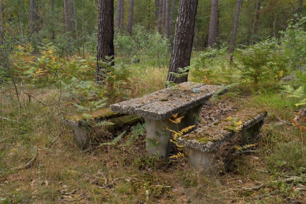 Photograph of a weathered seating area or resting place made of exposed aggregate concrete standing in a forest, Neustadt am Rübenberge, Hanover, Lower Saxony, Germany