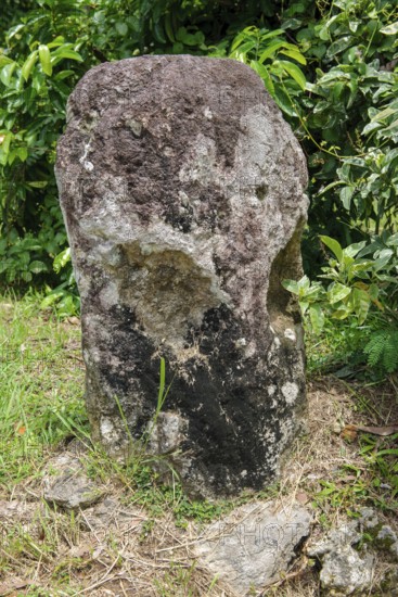 Ancient stone monolith Stone monolith in the shape of a head with unknown meaning in the sub-state of Ngarchelong on Babeldaob Island, Babeldaob, Republic of Palau