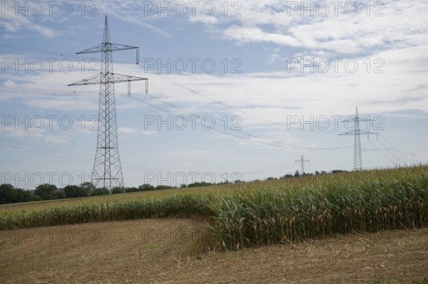 Arable farming near Untermünkheim, maize field, maize, maize field, tradition, cultural landscape, agriculture, power line, power line, mast, power pole, Kocher valley, Kocher, Hohenlohe, Germany