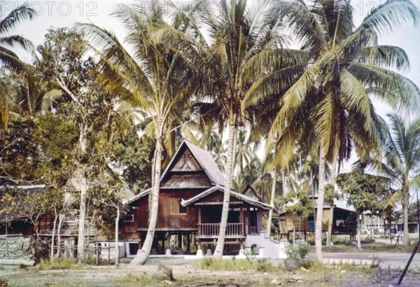 Traditional village houses in coconut palm trees, Malacca or Melaka, Malaya, Malaysia, south east Asia c 1964