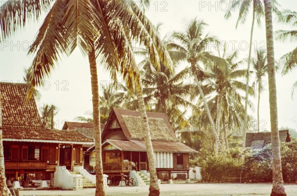 Traditional village houses in coconut palm trees, Malacca or Melaka, Malaya, Malaysia, south east Asia c 1964