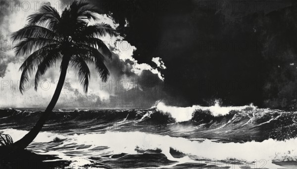 Vintage Music Poster: Monochrome Rockstar Coconut Palm Tree Wave Ocean Board Surf Summer In Mezzotint Photocopy Effect For Grunge Punk Y2k Collage, AI generated