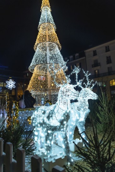 Christmas lights illuminating reindeer pulling sleigh near decorated christmas tree in bayonne, france at night