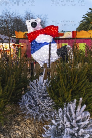 Illuminated polar bear with red scarf and blue vest ice skating at a christmas market in bayonne, france, surrounded by fir trees