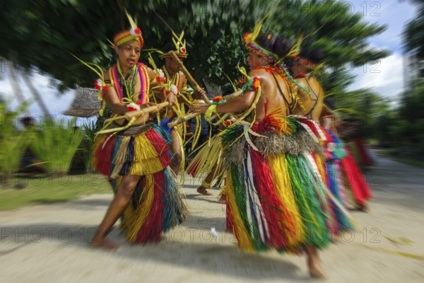 Traditional group of dancers from Yap Island dancing in historical traditional dress traditional costume with free upper body headdress performing traditional ritual bamboo dance stick dance with bamboo sticks, Yap Island, Yap State, Caroline Islands, FSM, Federated States of Micronesia, Australia, Oceania