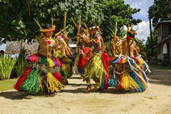 Traditional group of dancers from Yap Island dancing in historical traditional dress traditional costume with free upper body headdress performing traditional ritual bamboo dance stick dance with bamboo sticks, Yap Island, Yap State, Caroline Islands, FSM, Federated States of Micronesia, Australia, Oceania