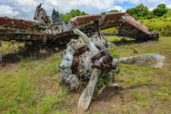 Aircraft wreckage of Japanese fighter aircraft A6M2 Model 21 Zero of Imperial Japanese Navy (IJN) from World War II destroyed by US Air Force 1944 during air raid on old Japanese Colonia Airfield on Yap Island, Yap State, Caroline Islands, FSM, Federated States of Micronesia, Australia, Oceania