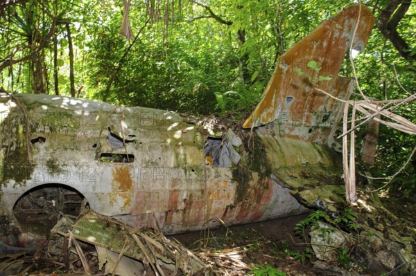 Vertical stabiliser and part of fuselage of WW II bomber Mitsubishi G4M1 US code name Betty from Imperial Japanese Navy (IJN), Yap Island, Yap State, Caroline Islands, FSM, Federated States of Micronesia, Australia, Oceania, destroyed in 1943 1944 on Yap Island in the Pacific during attacks by US aircraft bombers