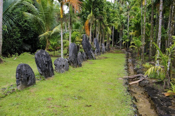 Oversized large giant stone coins real currency in stone money bank stone money bank in jungle of Yap Island, Yap Island, Yap State, Caroline Islands, FSM, Federated States of Micronesia, Australia, Oceania