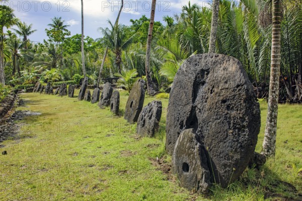 Oversized large giant stone coins real stone money in stone money bank stone money bank in jungle of Yap Island, Yap Island, Yap State, Caroline Islands, FSM, Federated States of Micronesia, Australia, Oceania