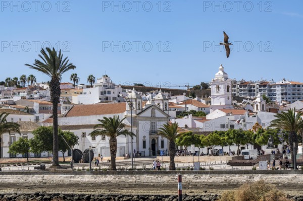 The skyline of the old town of Lagos, on the river Bensafrim, harbour channel, in the west of the Algarve, Portugal