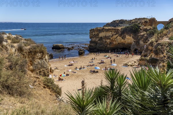 Beaches on the rocky coast of Ponta da Piedade, rugged coastal landscape, right next to Lagos town centre, in the west of the Algarve, Portugal