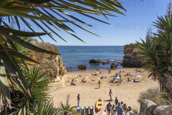 Beaches on the rocky coast of Ponta da Piedade, rugged coastal landscape, right next to Lagos town centre, in the west of the Algarve, Portugal