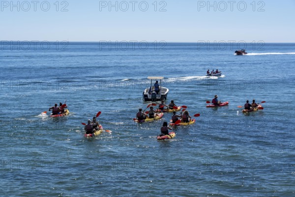 Kayak tours to the rocky coast of Ponta da Piedade, groups of tourists kayak on the sea to the rugged coastline of Lagos, in the west of the Algarve, Portugal