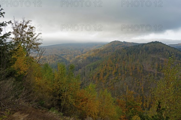 Landscape in the Thuringian Forest near Bad Tabarz in autumn, Bad Tabarz, Thuringia, Germany
